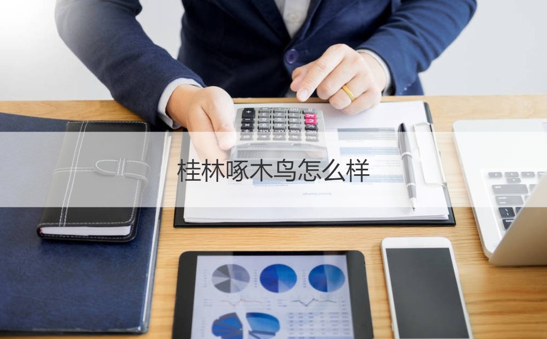 桂林啄木鸟工作体验与薪资分析，我们从中看到了什么？